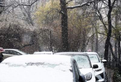 Skoro jest kwiecień, to musi być również... zima - zdjęcie 2