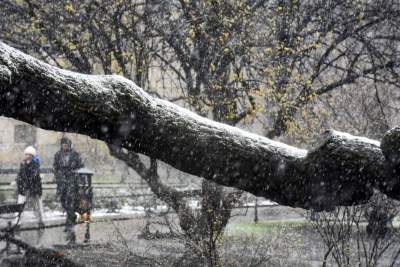 Skoro jest kwiecień, to musi być również... zima - zdjęcie 10