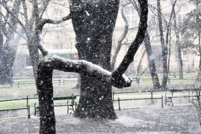 Skoro jest kwiecień, to musi być również... zima - zdjęcie 4