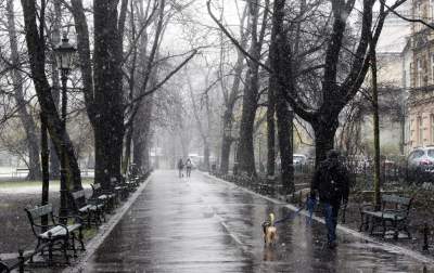 Skoro jest kwiecień, to musi być również... zima - zdjęcie 14
