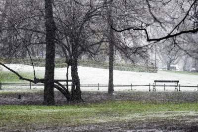 Skoro jest kwiecień, to musi być również... zima - zdjęcie 6