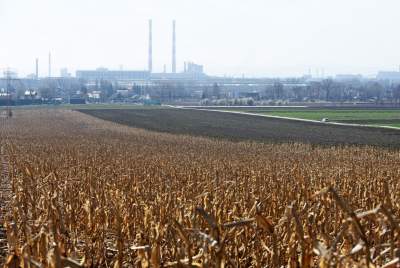 Krzywa droga w Nowej Hucie. Wiosenne prace ruszyły pełną parą - zdjęcie 8