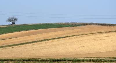 Krzywa droga w Nowej Hucie. Wiosenne prace ruszyły pełną parą - zdjęcie 19