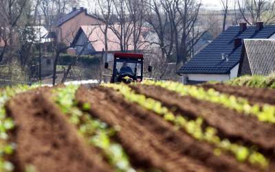 Krzywa droga w Nowej Hucie. Wiosenne prace ruszyły pełną parą - zdjęcie 17