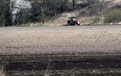 Krzywa droga w Nowej Hucie. Wiosenne prace ruszyły pełną parą - zdjęcie 20
