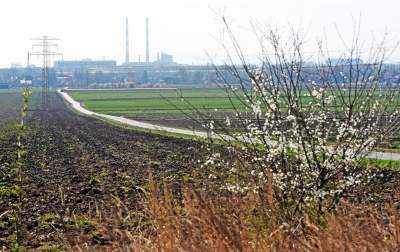 Krzywa droga w Nowej Hucie. Wiosenne prace ruszyły pełną parą - zdjęcie 5