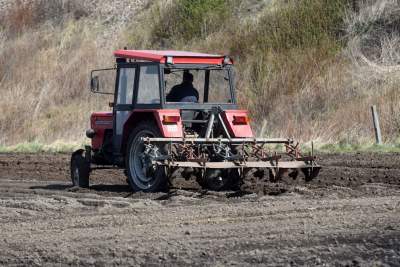 Krzywa droga w Nowej Hucie. Wiosenne prace ruszyły pełną parą - zdjęcie 15
