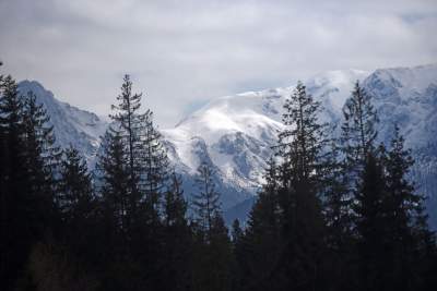 A może rzucić to wszystko i wyjechać w... Tatry? - zdjęcie 16