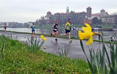 Znów była najlepsza. Wielkie bieganie wróciło na ulice Krakowa - zdjęcie 20