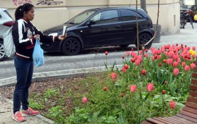 Wiosna na jednym z najważniejszych dziś skwerów w Krakowie - zdjęcie 7