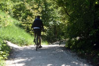 Nadal szukają tu dzikiego Zakrzówka. Oficjalnie wstęp wzbroniony - zdjęcie 18