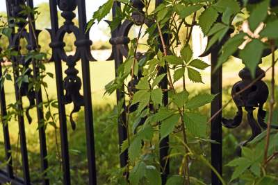 Teren zakonu stał się miejscem rekreacji - zdjęcie 9
