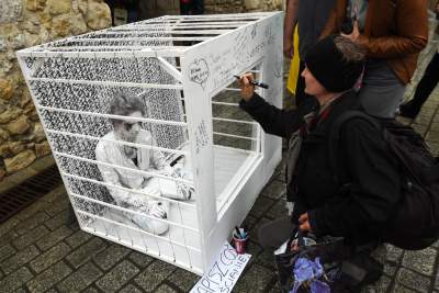 Biały pokój, performance przed Bramą Floriańską - zdjęcie 6