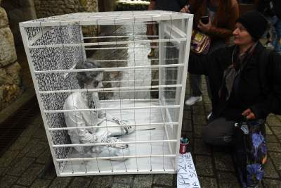 Biały pokój, performance przed Bramą Floriańską - zdjęcie 3