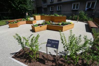 Ogród, który leczy. Działa na wszystkie zmysły - zdjęcie 6