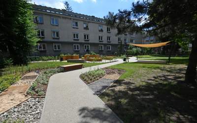 Ogród, który leczy. Działa na wszystkie zmysły - zdjęcie 2