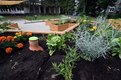 Ogród, który leczy. Działa na wszystkie zmysły - zdjęcie 33