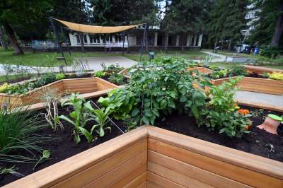 Ogród, który leczy. Działa na wszystkie zmysły - zdjęcie 32