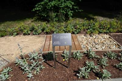 Ogród, który leczy. Działa na wszystkie zmysły - zdjęcie 4