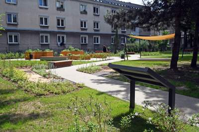 Ogród, który leczy. Działa na wszystkie zmysły - zdjęcie 36