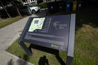 Ogród, który leczy. Działa na wszystkie zmysły - zdjęcie 3