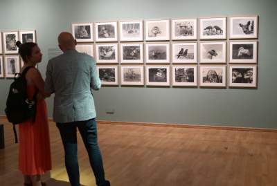 Wystawa w MCK: „Domowroty. Włodzimierz Puchalski” - zdjęcie 11