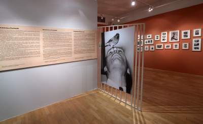 Wystawa w MCK: „Domowroty. Włodzimierz Puchalski” - zdjęcie 2