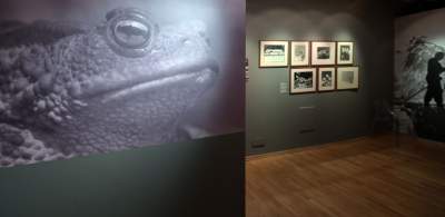 Wystawa w MCK: „Domowroty. Włodzimierz Puchalski” - zdjęcie 5