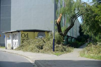 Wielkie sprzątanie po sobotniej nawałnicy, fot. Marek Lasyk - zdjęcie 22