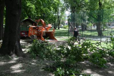 Wielkie sprzątanie po sobotniej nawałnicy, fot. Marek Lasyk - zdjęcie 18