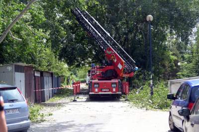 Wielkie sprzątanie po sobotniej nawałnicy, fot. Marek Lasyk - zdjęcie 23