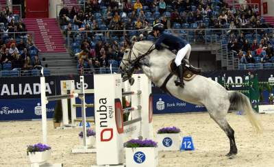 Tutaj koni do tej pory nie widzieli. Było pięknie! - zdjęcie 16