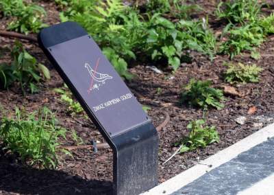 Gościu, siądź na tej ławce, a odpocznij sobie. Plac Axentowicza po remoncie - zdjęcie 17