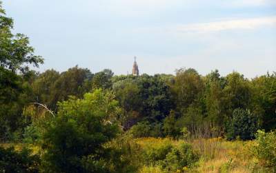 Obiektyw Lasyka: Dzika przyroda Białych Mórz - zdjęcie 26