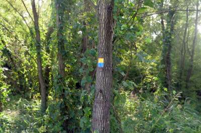 Obiektyw Lasyka: Dzika przyroda Białych Mórz - zdjęcie 15