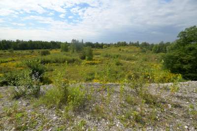 Obiektyw Lasyka: Dzika przyroda Białych Mórz - zdjęcie 25