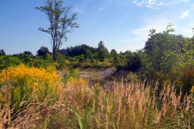 Obiektyw Lasyka: Dzika przyroda Białych Mórz - zdjęcie 32