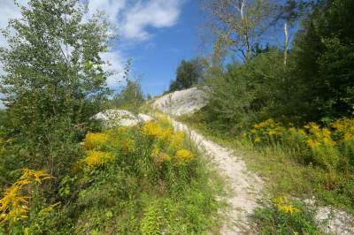 Obiektyw Lasyka: Dzika przyroda Białych Mórz - zdjęcie 4