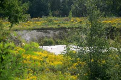 Obiektyw Lasyka: Dzika przyroda Białych Mórz - zdjęcie 29