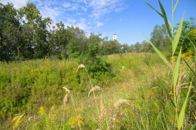 Obiektyw Lasyka: Dzika przyroda Białych Mórz - zdjęcie 20