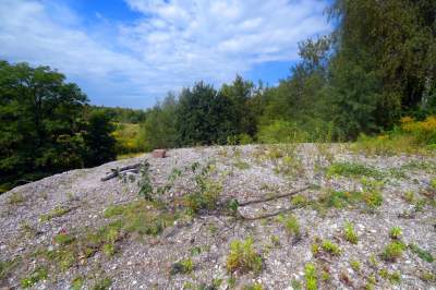 Obiektyw Lasyka: Dzika przyroda Białych Mórz - zdjęcie 27