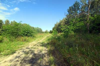 Obiektyw Lasyka: Dzika przyroda Białych Mórz - zdjęcie 21