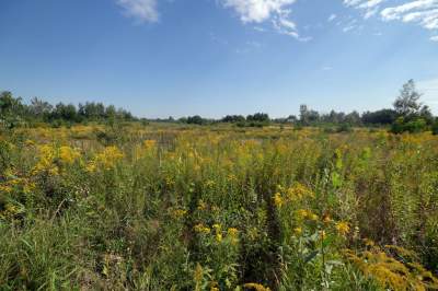 Obiektyw Lasyka: Dzika przyroda Białych Mórz - zdjęcie 38