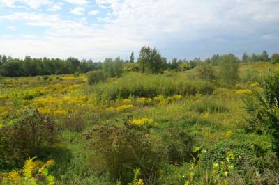 Obiektyw Lasyka: Dzika przyroda Białych Mórz - zdjęcie 24
