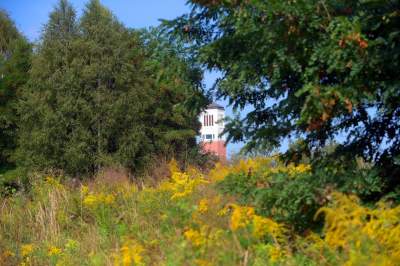 Obiektyw Lasyka: Dzika przyroda Białych Mórz - zdjęcie 31