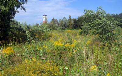 Obiektyw Lasyka: Dzika przyroda Białych Mórz - zdjęcie 37