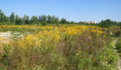 Obiektyw Lasyka: Dzika przyroda Białych Mórz - zdjęcie 36