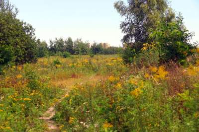 Obiektyw Lasyka: Dzika przyroda Białych Mórz - zdjęcie 6