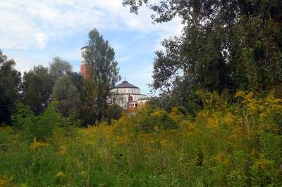 Obiektyw Lasyka: Dzika przyroda Białych Mórz - zdjęcie 41