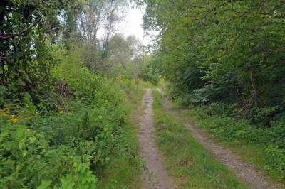 Obiektyw Lasyka: Dzika przyroda Białych Mórz - zdjęcie 42